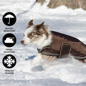 Tundra Dog Coat