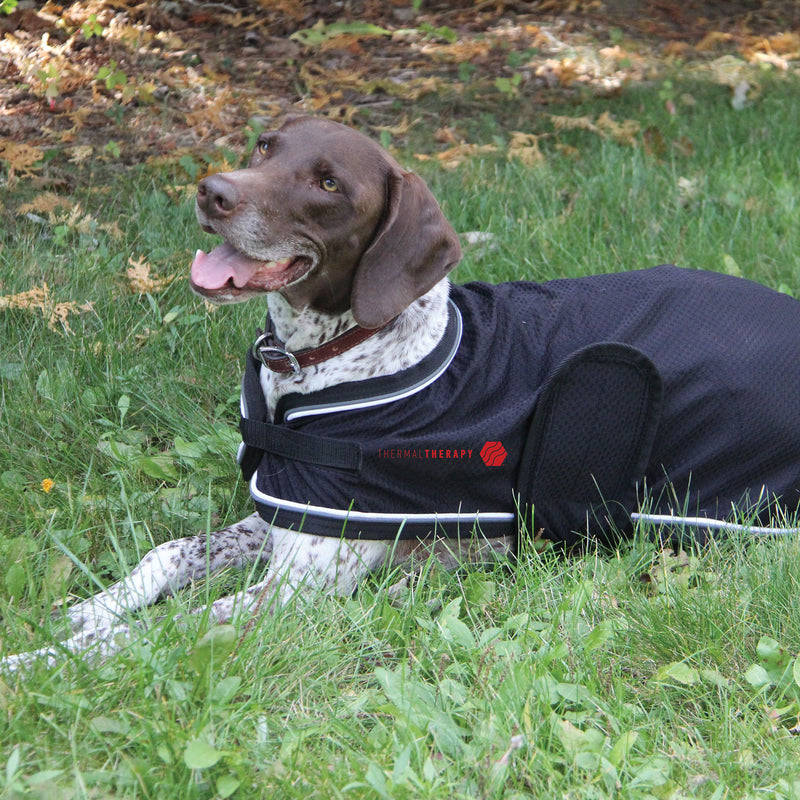 Thermal Therapy Mesh Dog Coat
