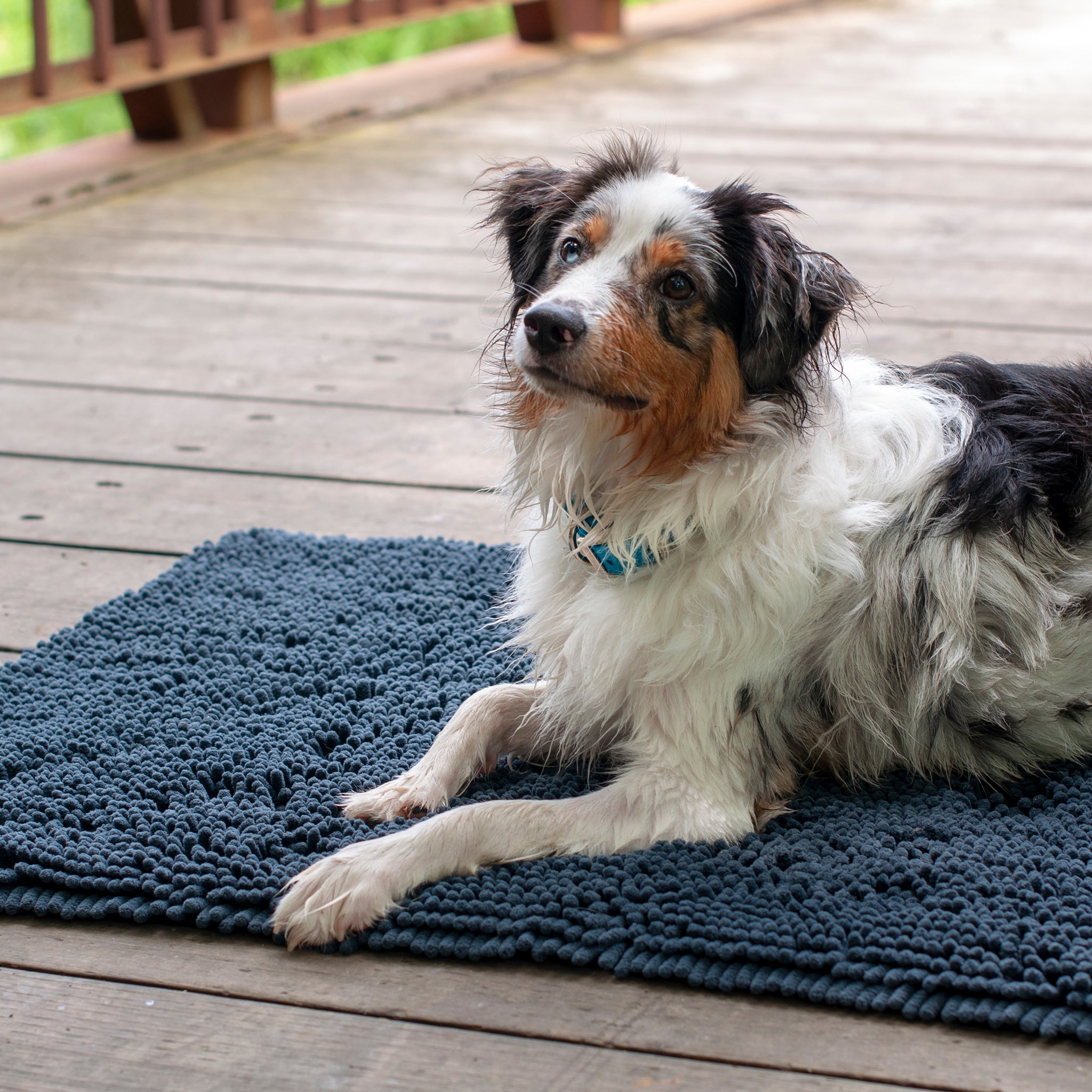 Shedrow K9 - Our Shedrow K9 Mud Mats are made for those dogs who always  find a way to get themselves muddy and dirty - like Bailey! Able to soak up  to
