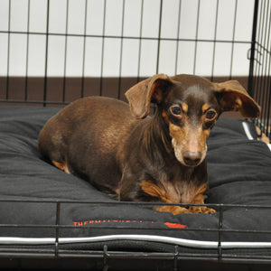Thermal Therapy Crate Mat