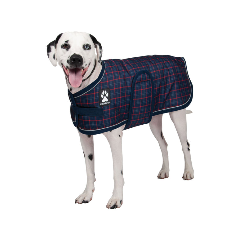 Glacier Dog Coat
