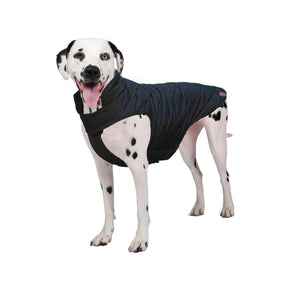 Brentwood Quilted Dog Coat
